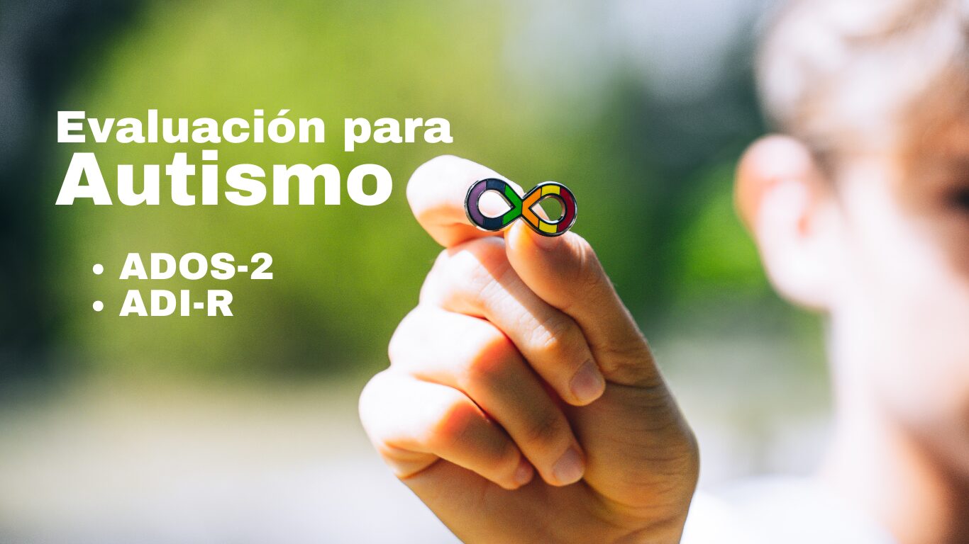 Inicios Página Web